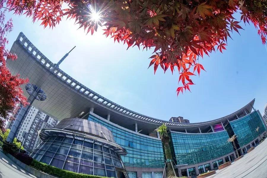 我区大力实施城乡补短板,康桥镇乡村振兴