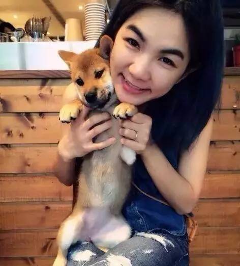 怀孕时养狗狗有问题吗,怀孕养狗会导致胎停吗