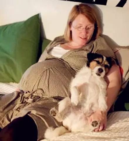 养狗狗会不会影响怀孕,养狗狗对孕早期影响大吗