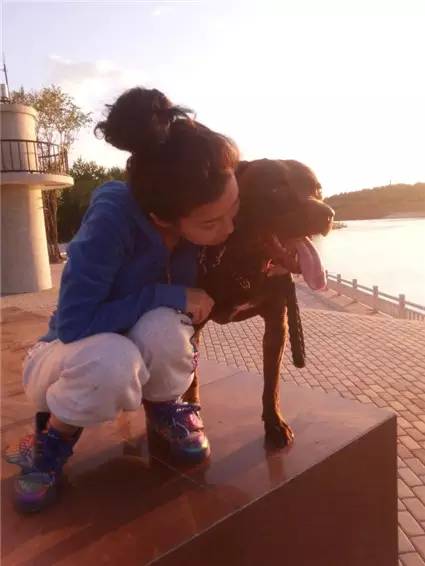 养狗狗会不会影响怀孕,养狗狗对孕早期影响大吗