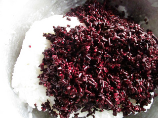 红曲米样品,红曲米价钱