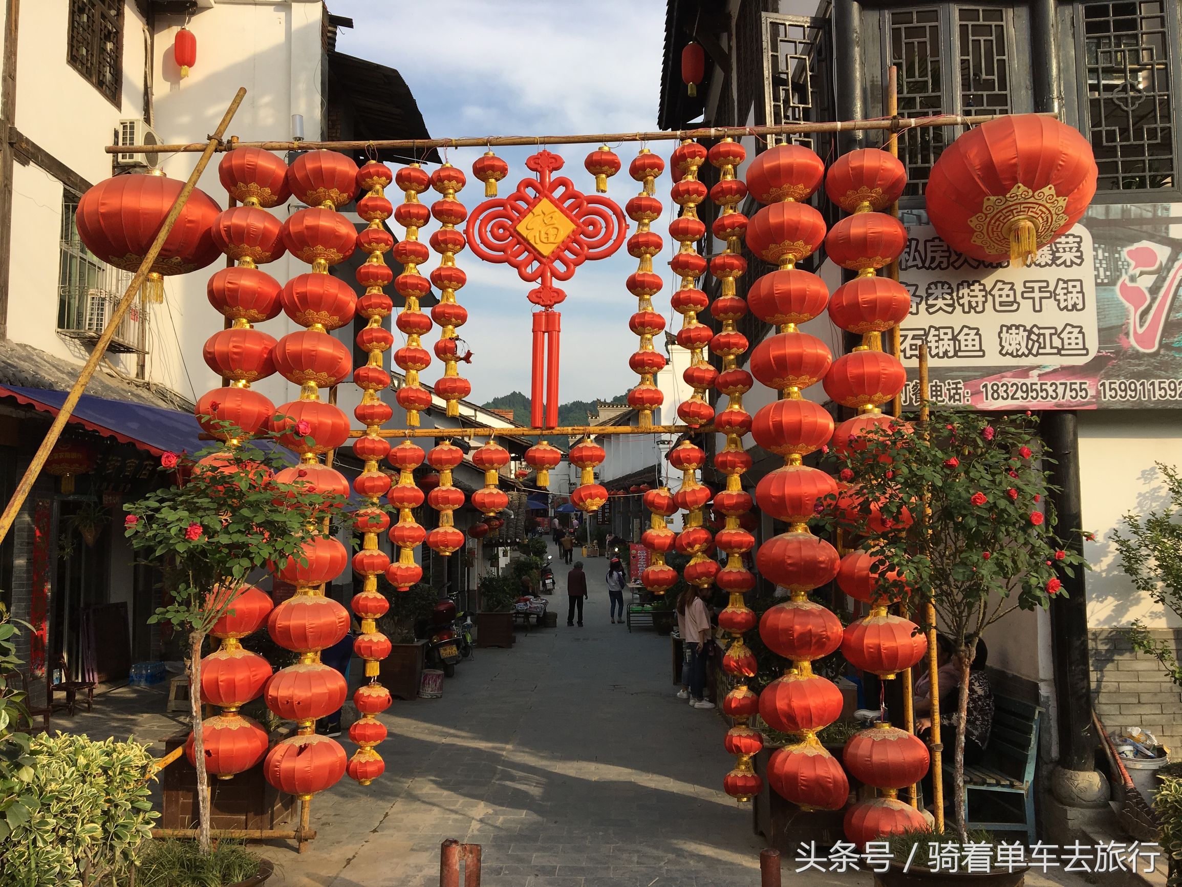 后柳水乡游船还是三峡游船好,汉江三峡和后柳水乡是一个景区吗