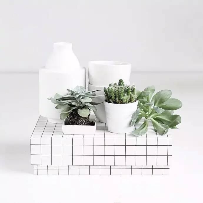 欧亚卖场买不到的家居好物，某宝只要10块钱……