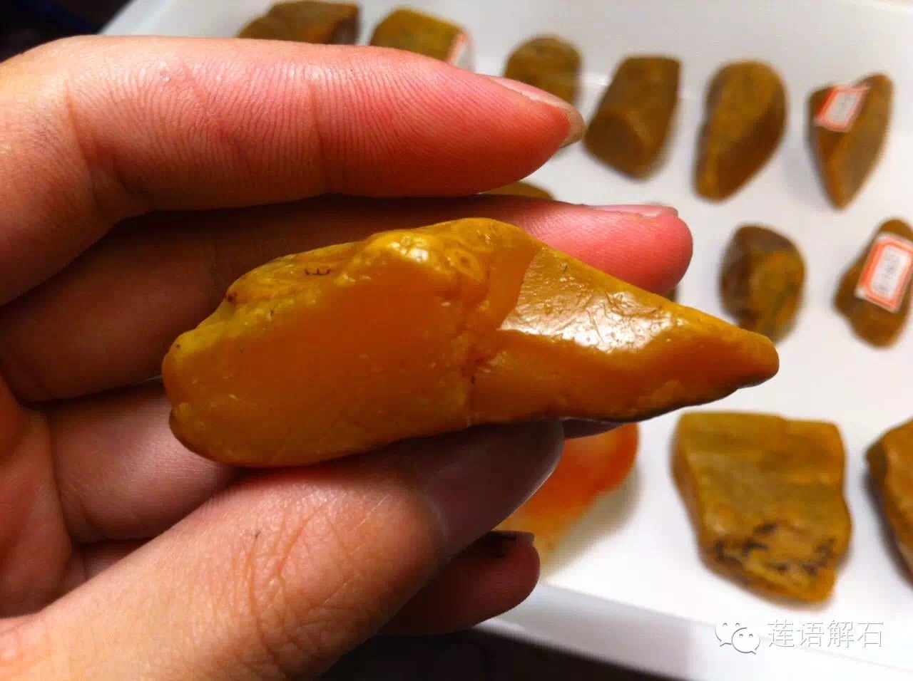 昌化田黄石与寿山田黄石哪个更好,寿山田黄石和昌化田黄石哪一种贵