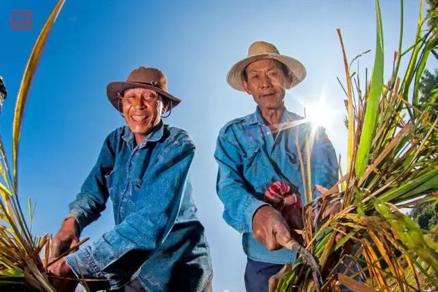 零下30℃，来茶山听泉水叮咚，千年古城蔚州大门为您打开
