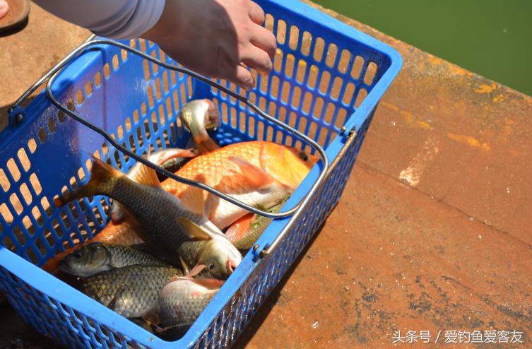 客友员工全体犯“最”，你怕了吗？