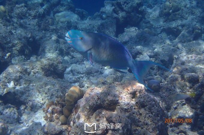 蜜月胜地之马尔代夫,马尔代夫水下餐厅芙拉瓦丽