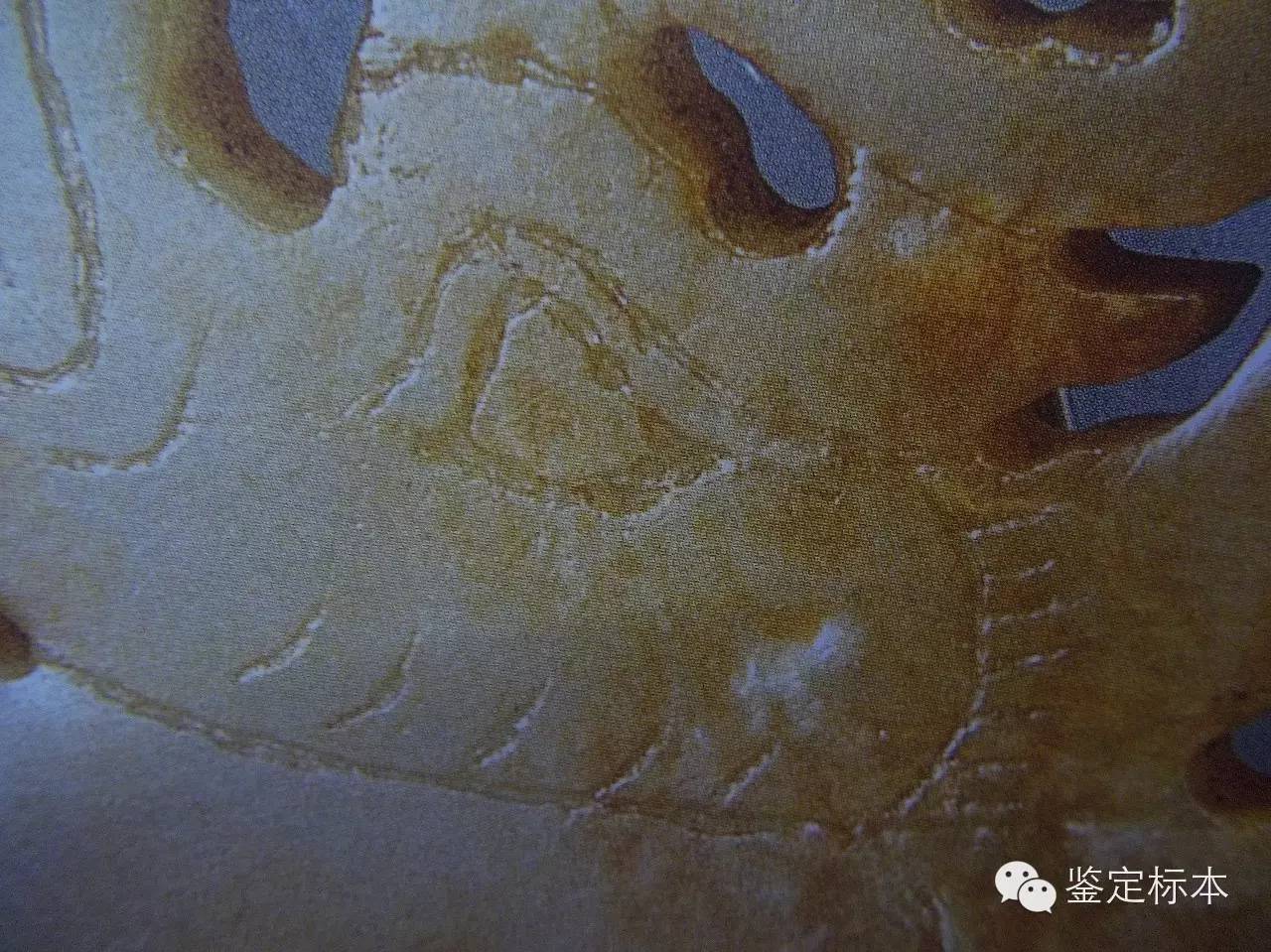 不要被专家忽悠,汉代琥珀珠子特征是什么