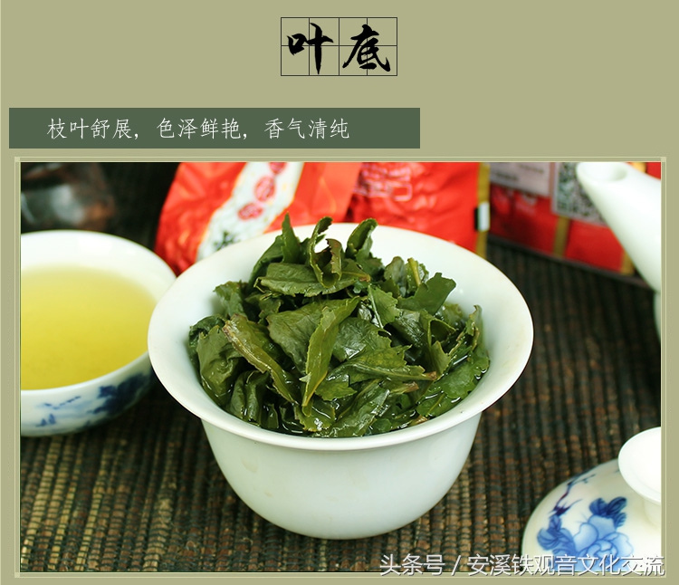 最便宜的铁观音多少钱一斤,铁观音价格最低多少钱一斤