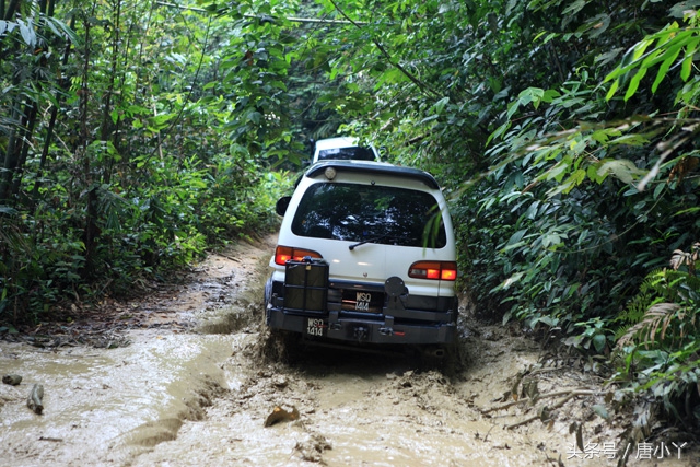 鞋合不合适只有自己知道热带雨林体验将军轮胎