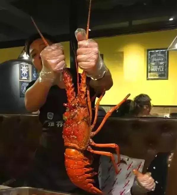 苏州海鲜大咖店推荐,高港区海鲜大咖