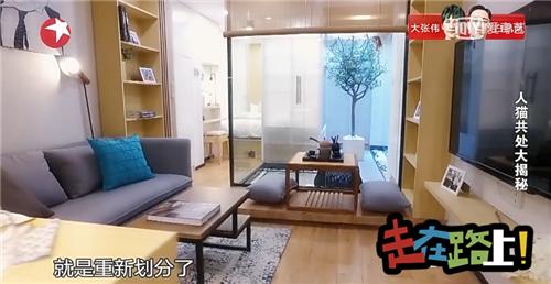 人猫共存空间设计,两只公猫两只母猫的房间怎么设计