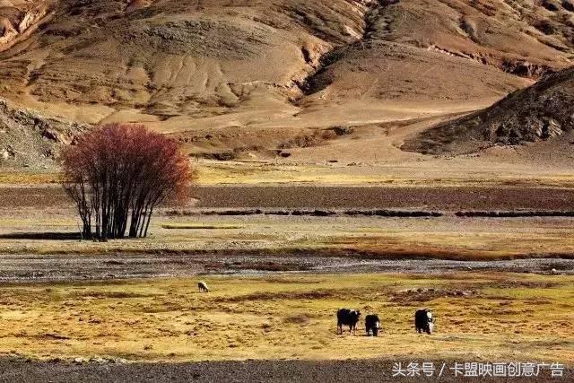 2万5千公里｜跨越半个中国，我们在路上等你