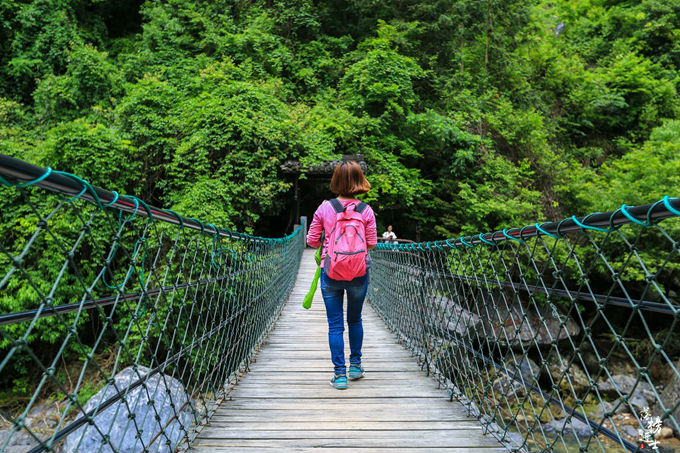 哪儿有原始森林拍照的景区,冬天适合拍照的原始森林