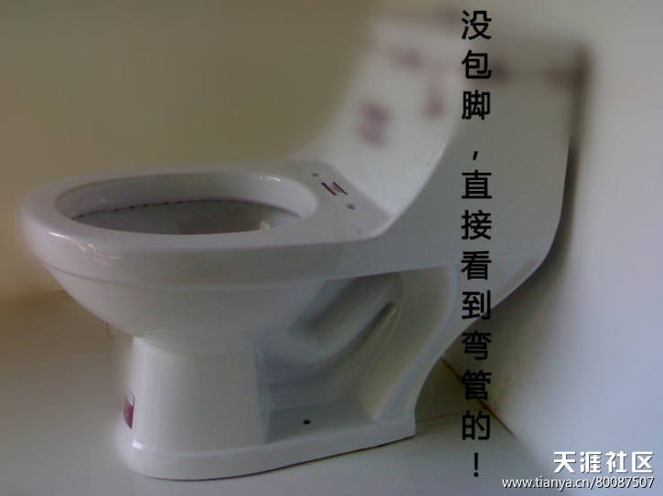 热门话题马桶,有关马桶的话题