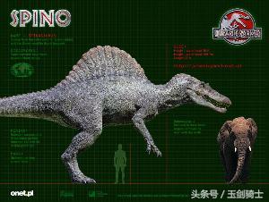 世界上最厉害的动物平头哥,平头哥盘点十大速度最快的动物