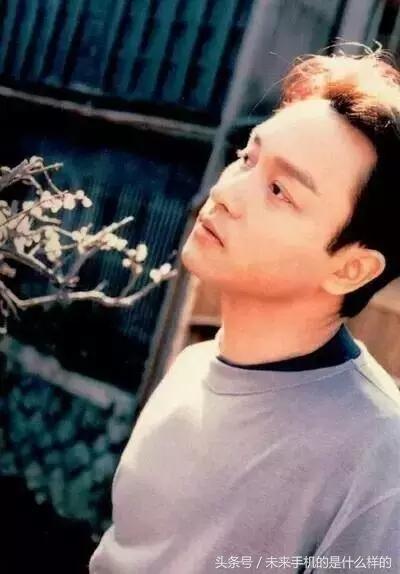 铃声和动态壁纸苹果手机用,iphone专属铃声壁纸