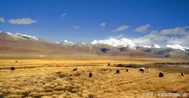 2万5千公里｜跨越半个中国，我们在路上等你