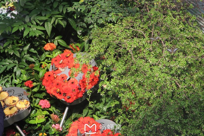 蜜月胜地之马尔代夫,马尔代夫水下餐厅芙拉瓦丽