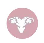 12星座的气质排名,气质最干净的星座女