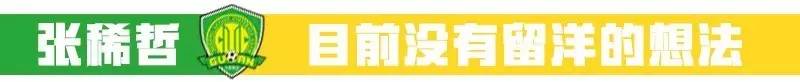张稀哲国安外援,张稀哲助攻国安