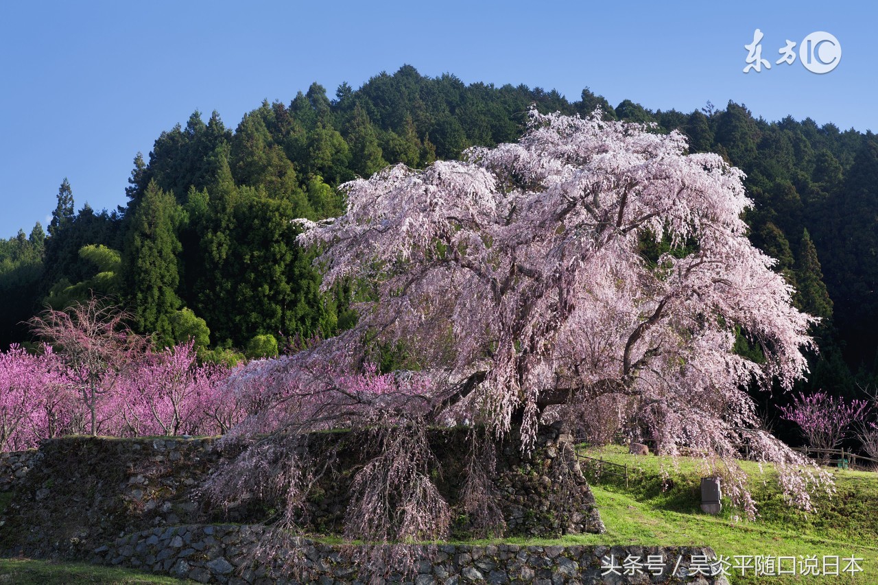 日本如何办理日本签证,日本签证获取