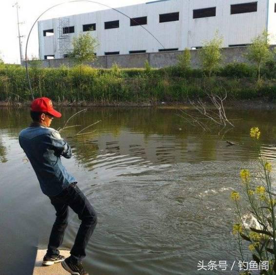 100元的竿和1000元的竿的区别,1000元鱼竿和100元鱼竿差别