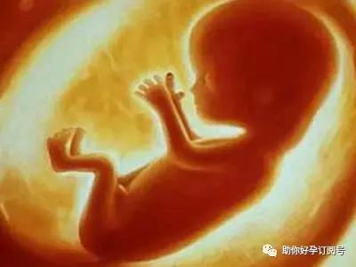 23周的胎儿脐带绕颈三周有影响么,孕37周脐带绕颈三周爬床能绕开吗