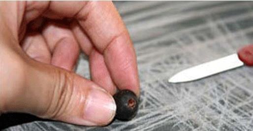 碗莲发完芽之后应该怎么养殖,用碗莲的种子养殖多久可以开花