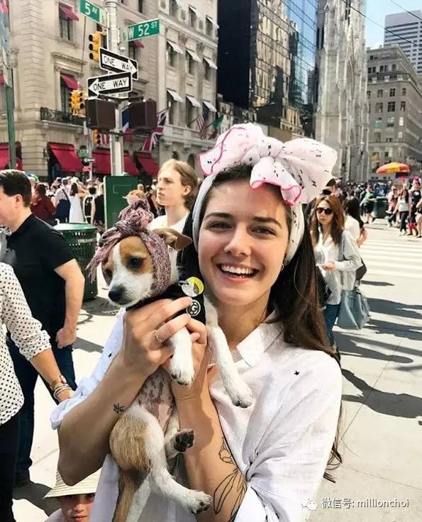 戛纳网红,戛纳的网红们