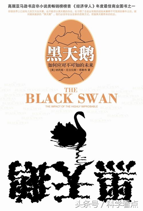 黑天鹅的书籍推荐,黑天鹅四本书