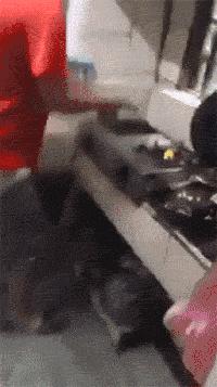 媳妇儿说今晚下面给我吃,做到一半做不下去了