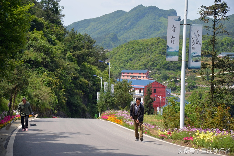 綦江花坝:以花为媒村民吃上旅游饭