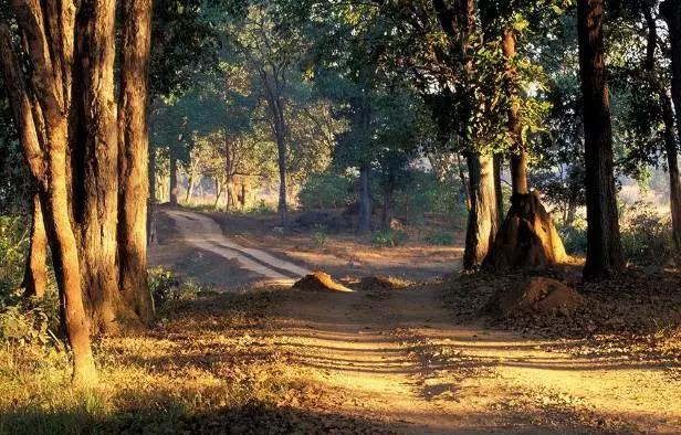 全球十大超级震撼观星胜地,全球最值得去的10个地方