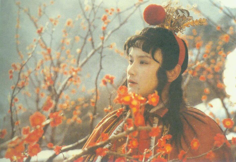 贾宝玉对四个丫头的感情,贾宝玉深受女孩欢迎的原因