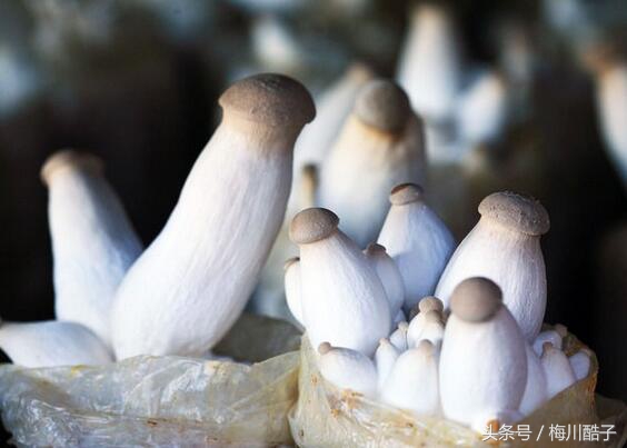 适合穷人的18个创业项目餐饮加盟,适合穷人没本钱的创业小餐饮项目