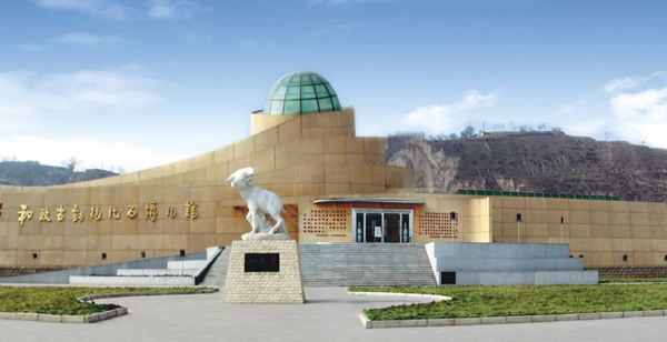 记录传统文化,记录传承传统文化