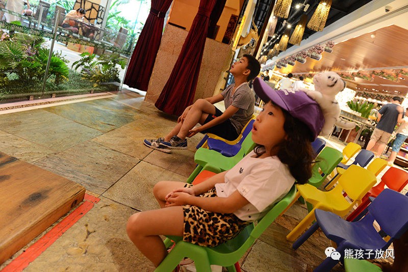 广州长隆野生动物园游玩攻略,广州长隆野生动物园攻略自由行