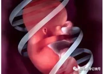 23周的胎儿脐带绕颈三周有影响么,孕37周脐带绕颈三周爬床能绕开吗