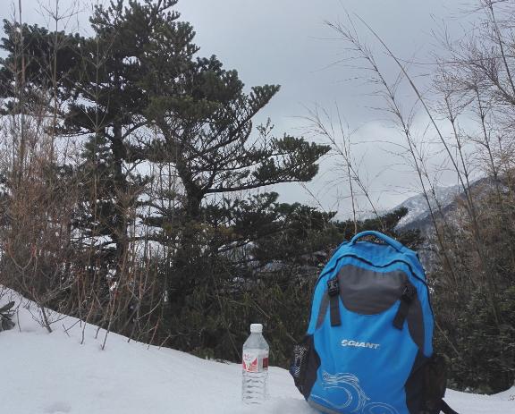 用我的经验告诉你，如何登顶苍山