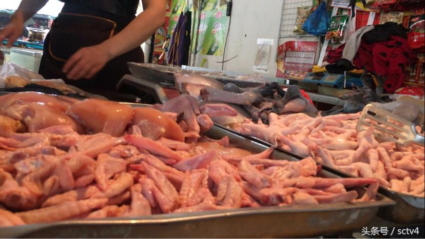 成都拟绕城内禁宰活禽成都市场情况如何?