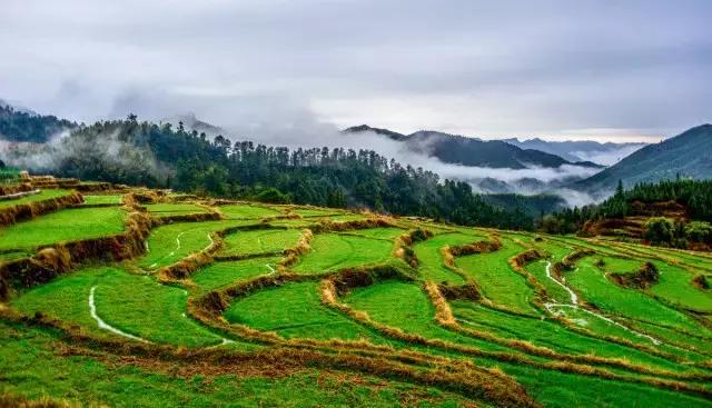 今年倒数第二天就放假了怎么回事,再坚持一天就放假了