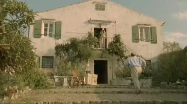 我的不靠谱家人，以及蛇、老鼠、蜥蜴、猫头鹰等其他动物