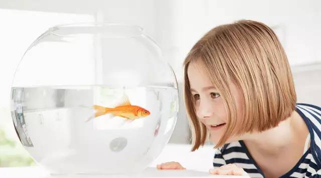 钢琴课要不要上,钢琴课需不需要提前预习