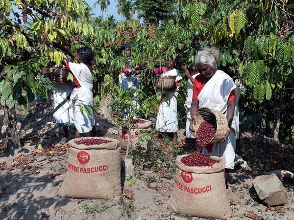 caffepascucci金融街长安中心店,caffepascucci哈尔滨店