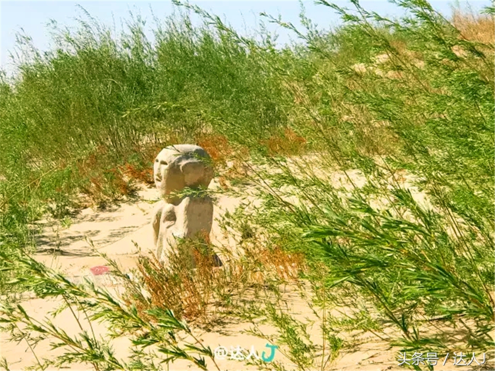 赤峰沙漠集装箱,赤峰草原集装箱