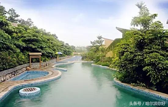 阿城有希望吗,阿城未来的发展