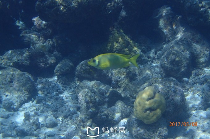 蜜月胜地之马尔代夫,马尔代夫水下餐厅芙拉瓦丽