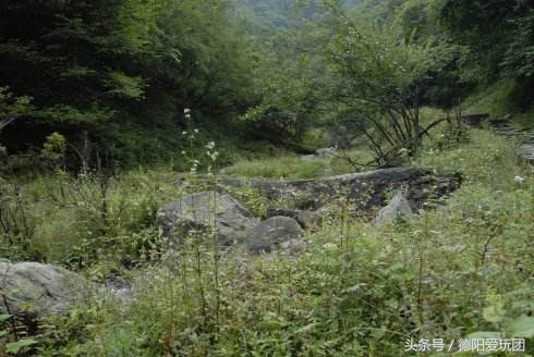 德阳周边游:端午3天我们走“喇叭河”怎么样?最强攻略来袭