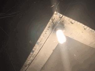 突然大量飞蚁飞进屋子,飞蚁飞进屋不见了怎么办